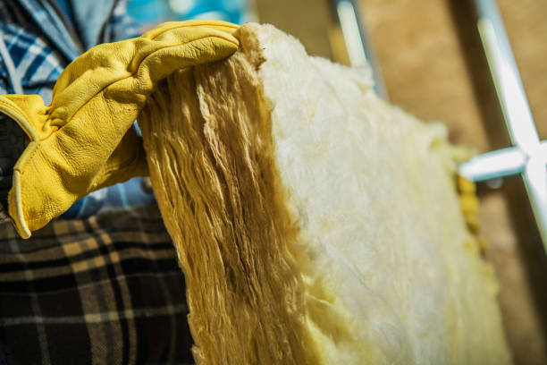 Best Geographic-Specific Insulation Services in Olney, TX